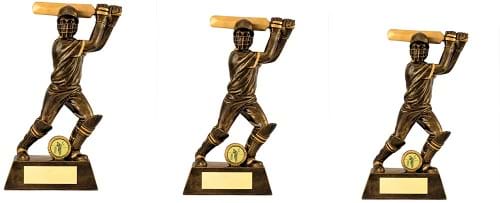 Cricket Batsman Action Resin Trophy Awards RFA2206 Series